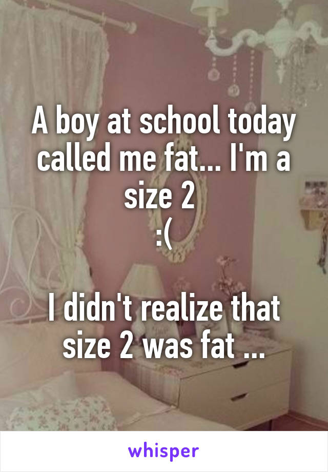 A boy at school today called me fat... I'm a size 2 
:(

I didn't realize that size 2 was fat ...