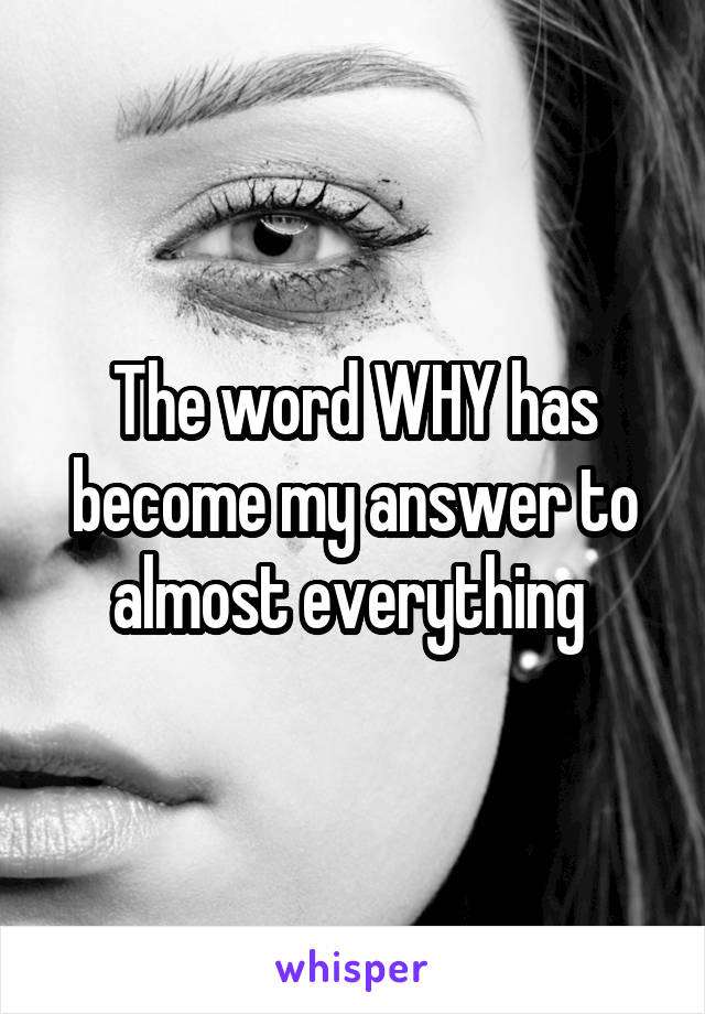 The word WHY has become my answer to almost everything 