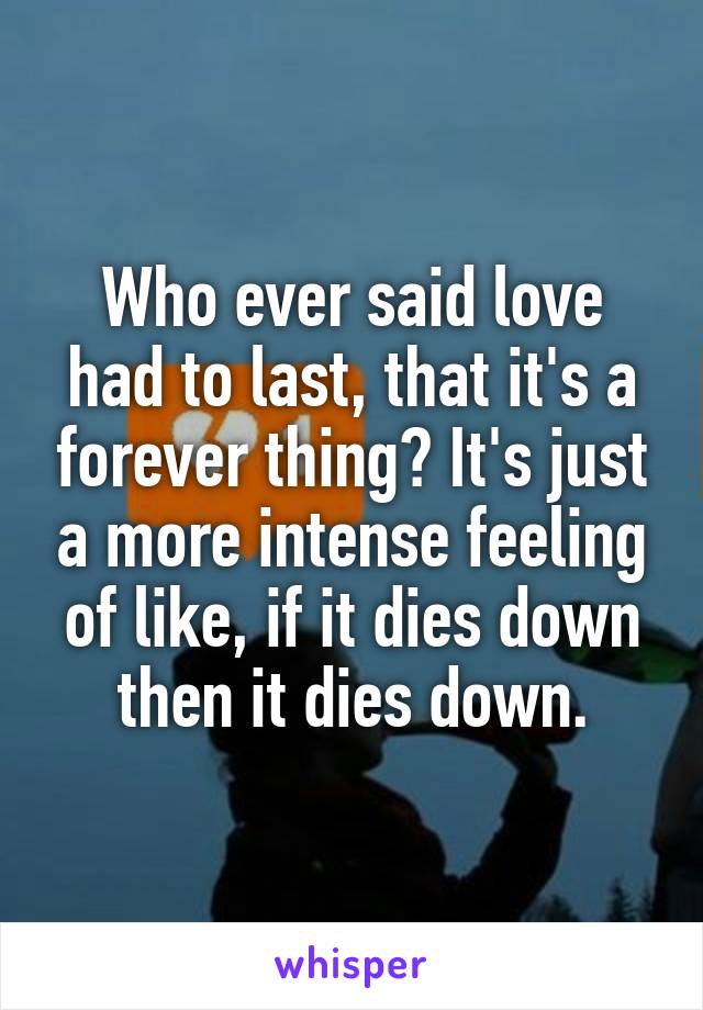 Who ever said love had to last, that it's a forever thing? It's just a more intense feeling of like, if it dies down then it dies down.