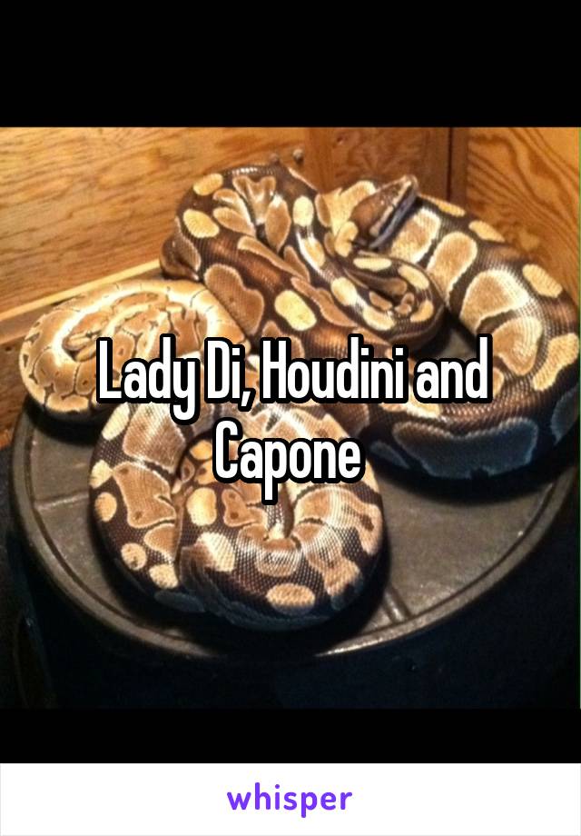 Lady Di, Houdini and Capone 