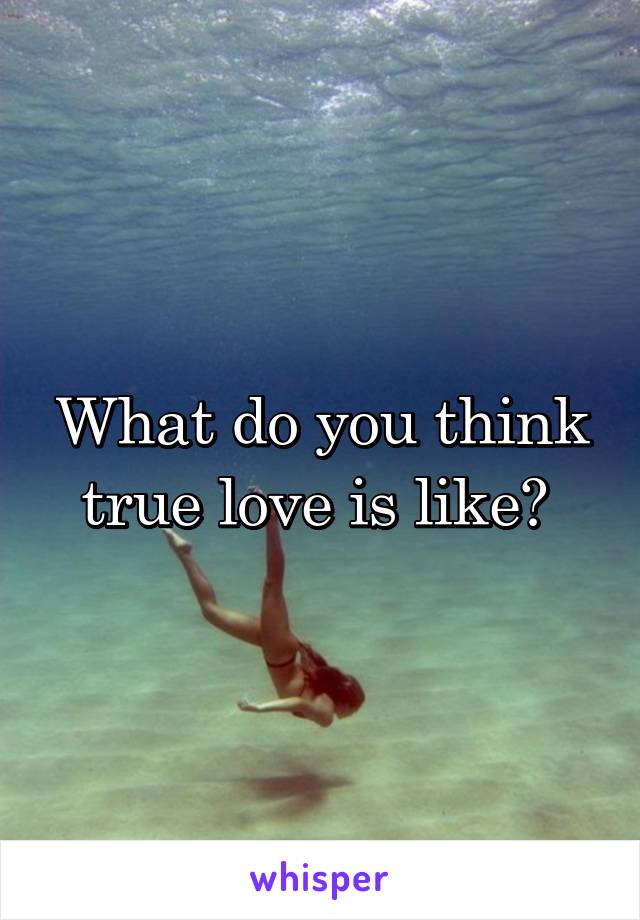 What do you think true love is like? 