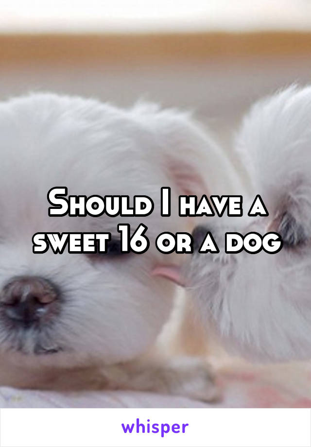 Should I have a sweet 16 or a dog