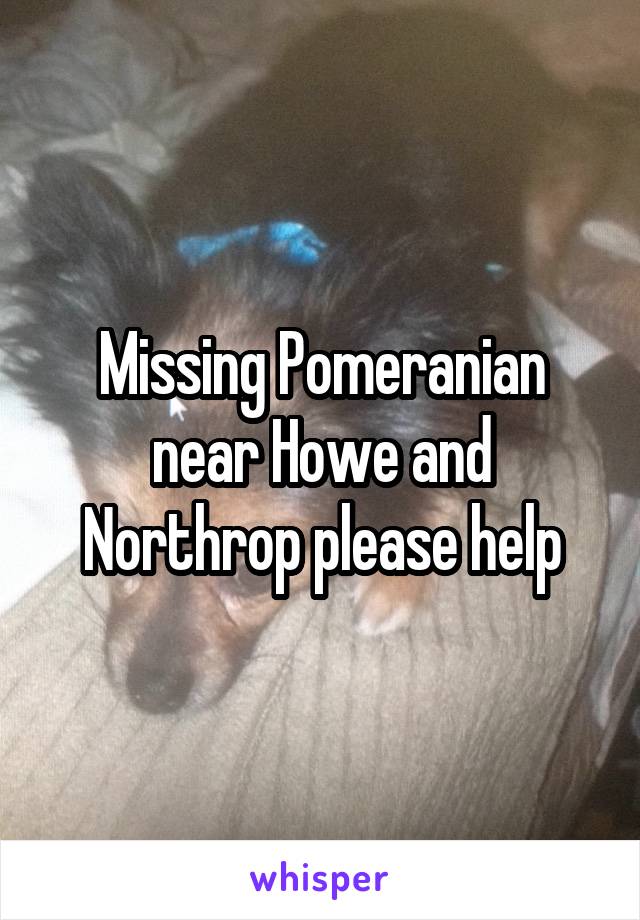 Missing Pomeranian near Howe and Northrop please help