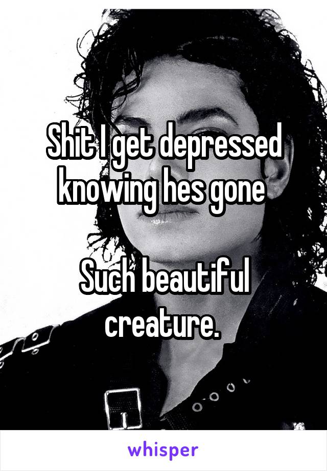 Shit I get depressed knowing hes gone 

Such beautiful creature. 