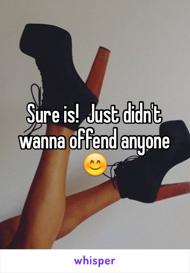 Sure is!  Just didn't wanna offend anyone 😊