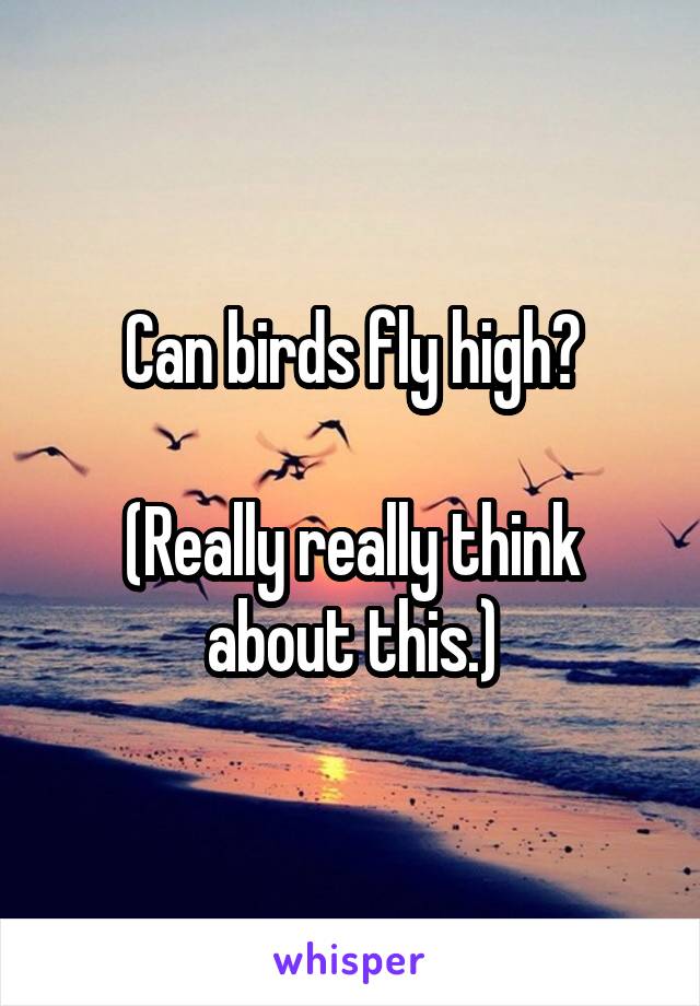 Can birds fly high?

(Really really think about this.)