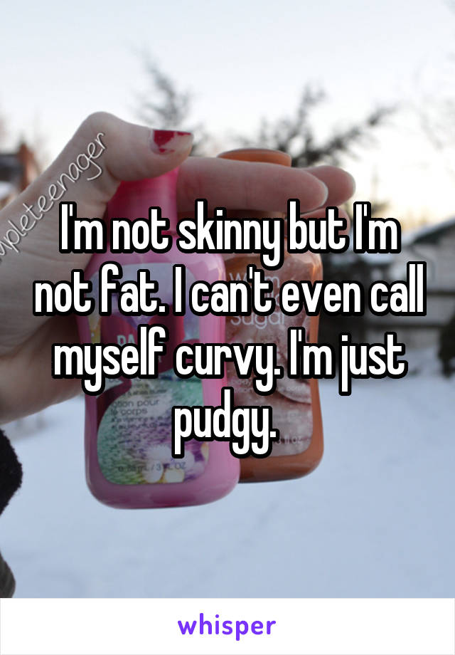 I'm not skinny but I'm not fat. I can't even call myself curvy. I'm just pudgy. 