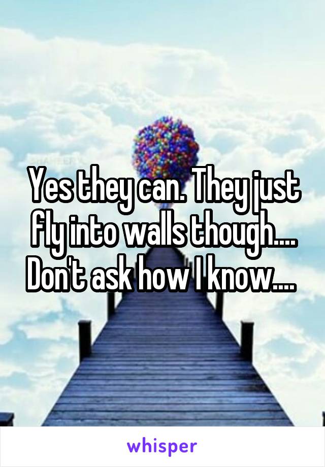 Yes they can. They just fly into walls though.... Don't ask how I know.... 