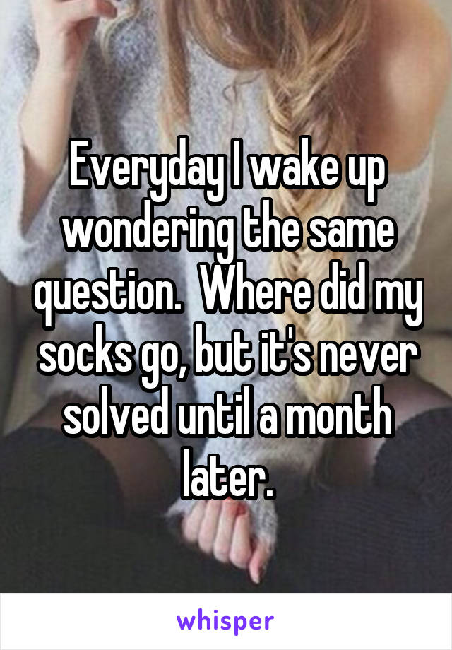 Everyday I wake up wondering the same question.  Where did my socks go, but it's never solved until a month later.