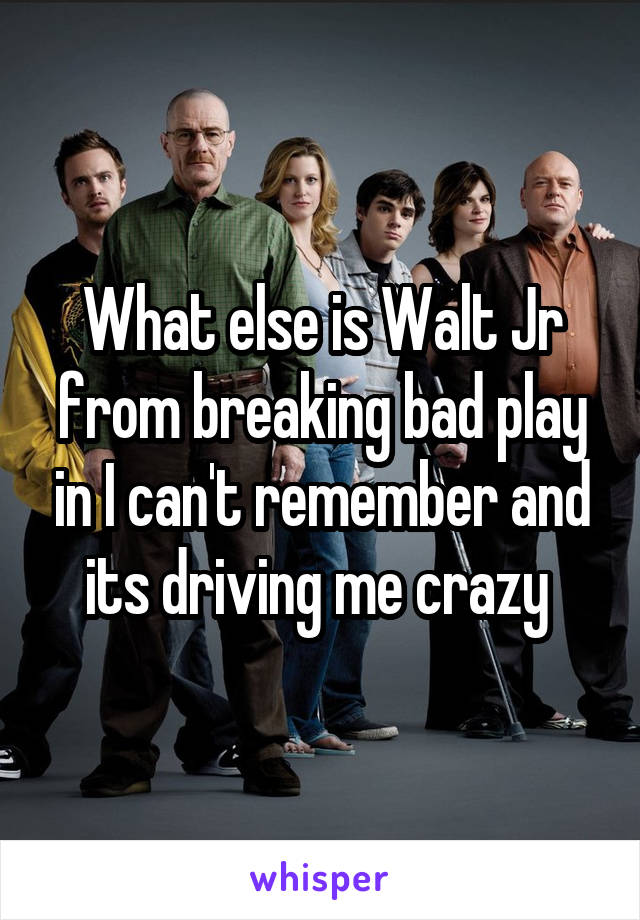 What else is Walt Jr from breaking bad play in I can't remember and its driving me crazy 