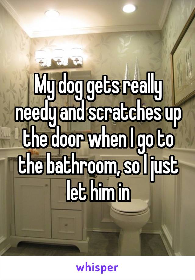 My dog gets really needy and scratches up the door when I go to the bathroom, so I just let him in