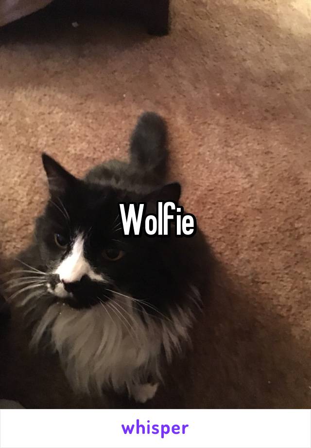 Wolfie