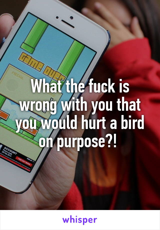 What the fuck is wrong with you that you would hurt a bird on purpose?! 