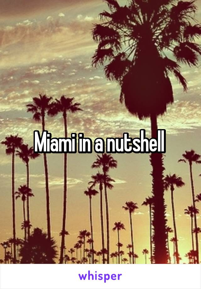 Miami in a nutshell 