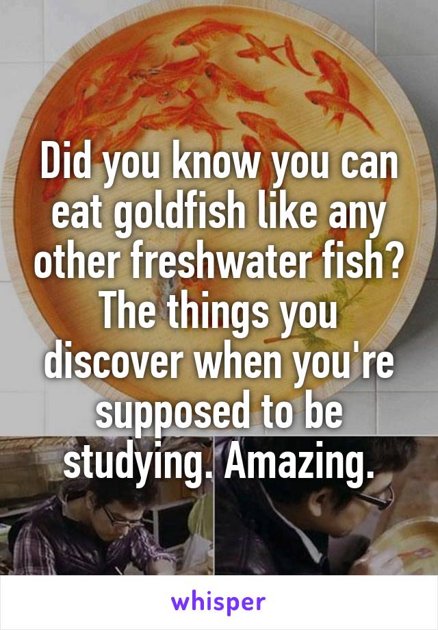 Did you know you can eat goldfish like any other freshwater fish? The things you discover when you're supposed to be studying. Amazing.