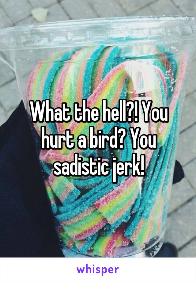 What the hell?! You hurt a bird? You sadistic jerk!