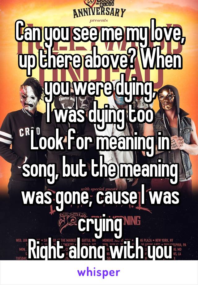 Can you see me my love, up there above? When you were dying,
I was dying too
Look for meaning in song, but the meaning was gone, cause I was crying
Right along with you