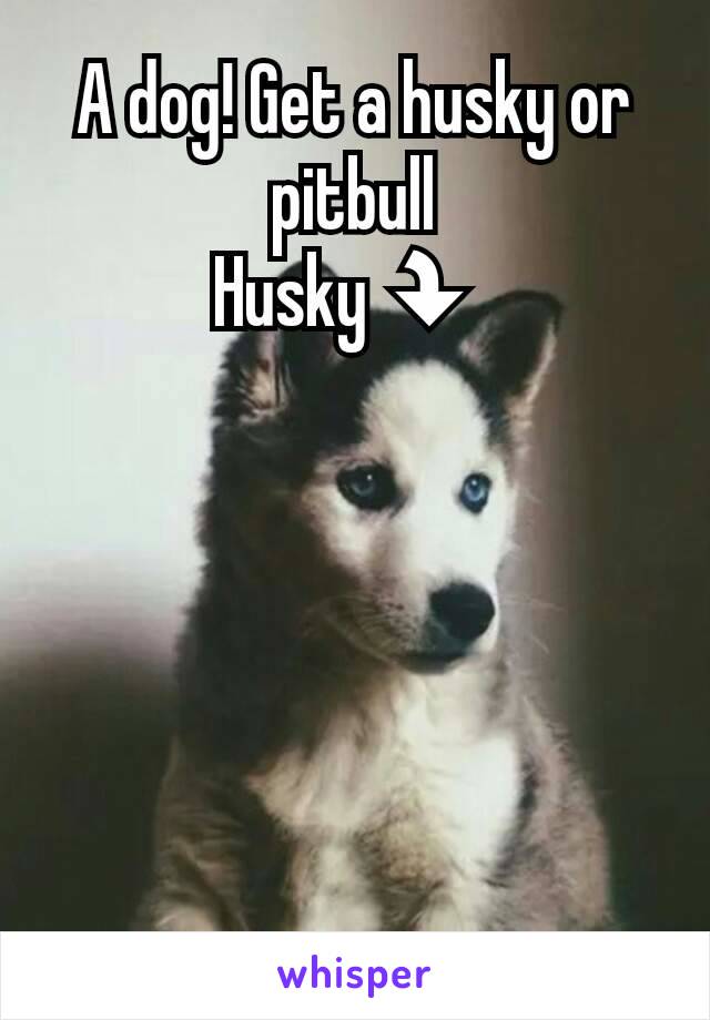 A dog! Get a husky or pitbull
Husky⤵