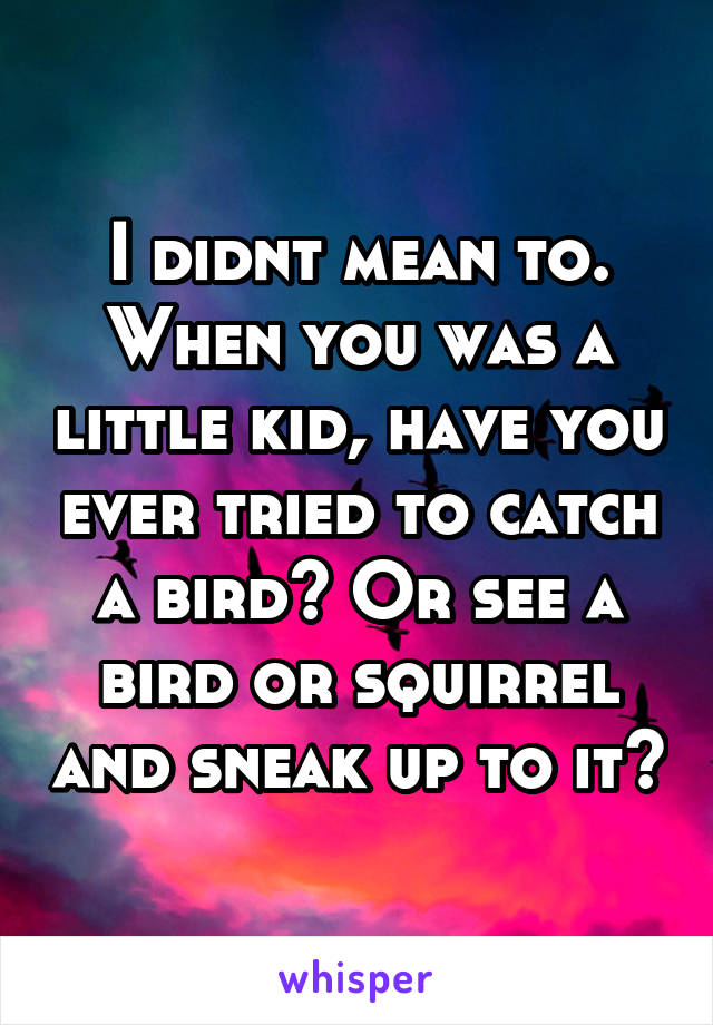 I didnt mean to. When you was a little kid, have you ever tried to catch a bird? Or see a bird or squirrel and sneak up to it?