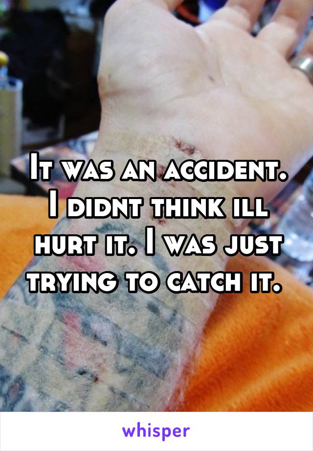 It was an accident. I didnt think ill hurt it. I was just trying to catch it. 