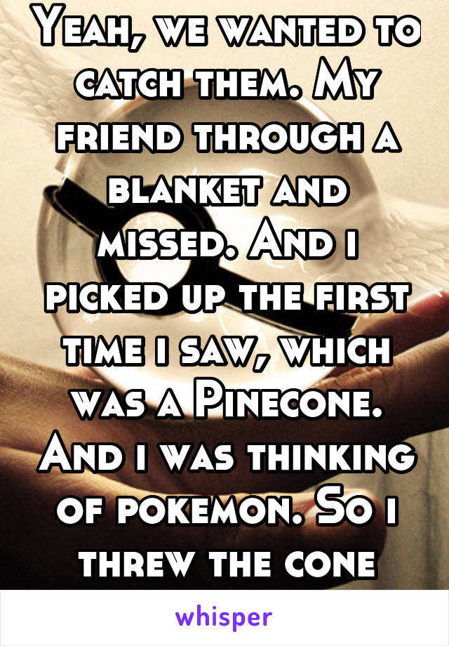 Yeah, we wanted to catch them. My friend through a blanket and missed. And i picked up the first time i saw, which was a Pinecone. And i was thinking of pokemon. So i threw the cone trying to capture 