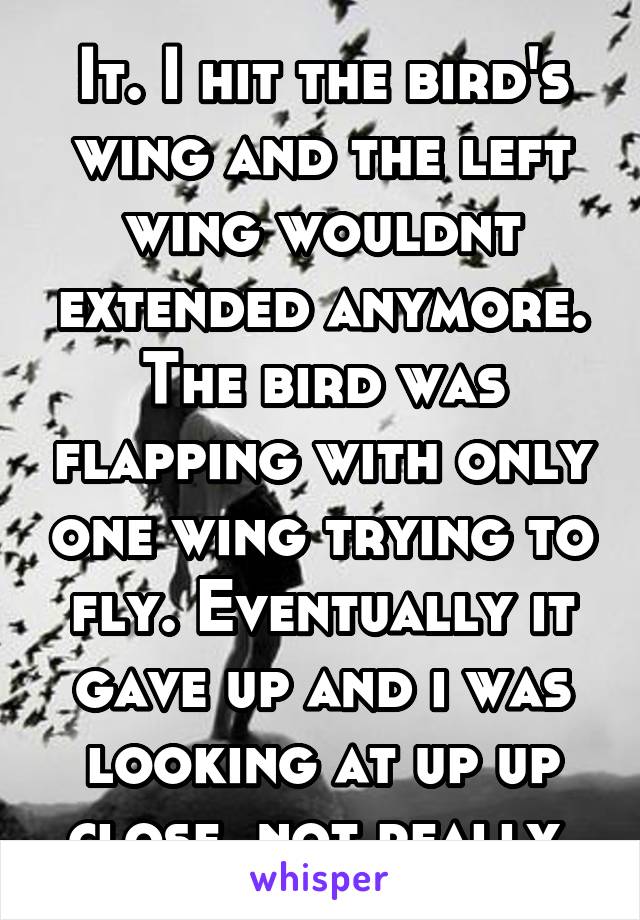 It. I hit the bird's wing and the left wing wouldnt extended anymore. The bird was flapping with only one wing trying to fly. Eventually it gave up and i was looking at up up close, not really 