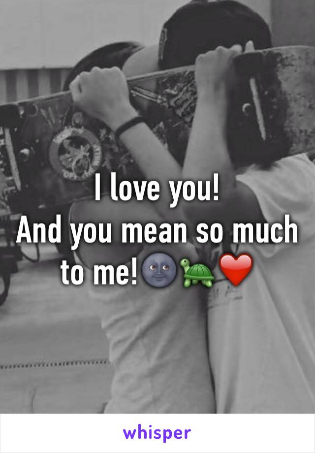 I love you! 
And you mean so much to me!🌚🐢❤️