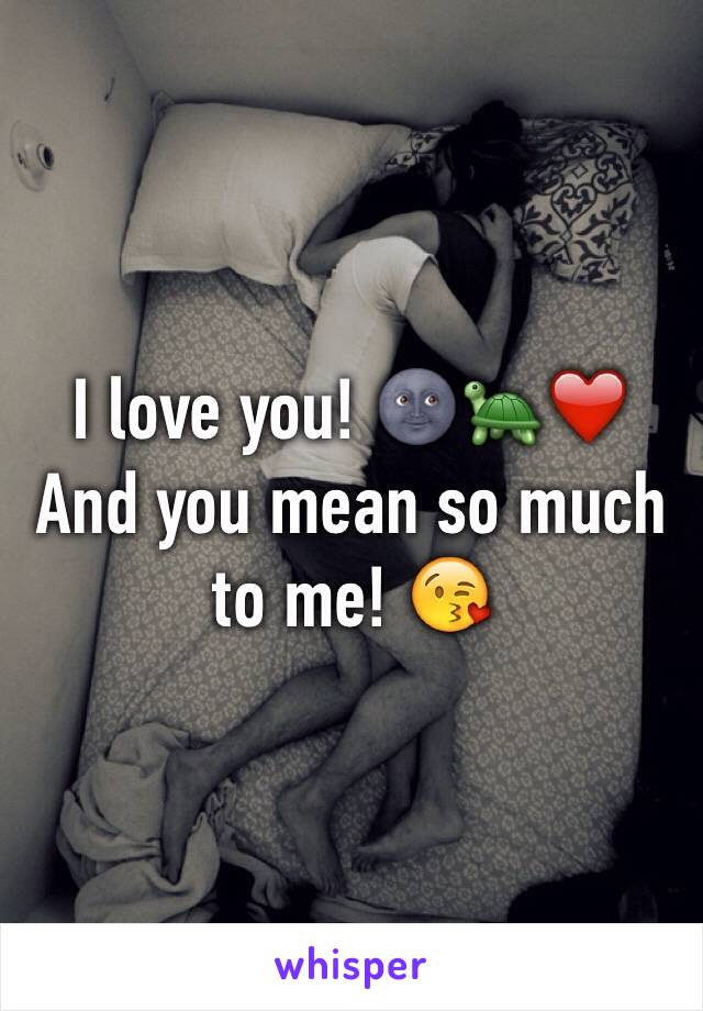 I love you! 🌚🐢❤️
And you mean so much to me! 😘