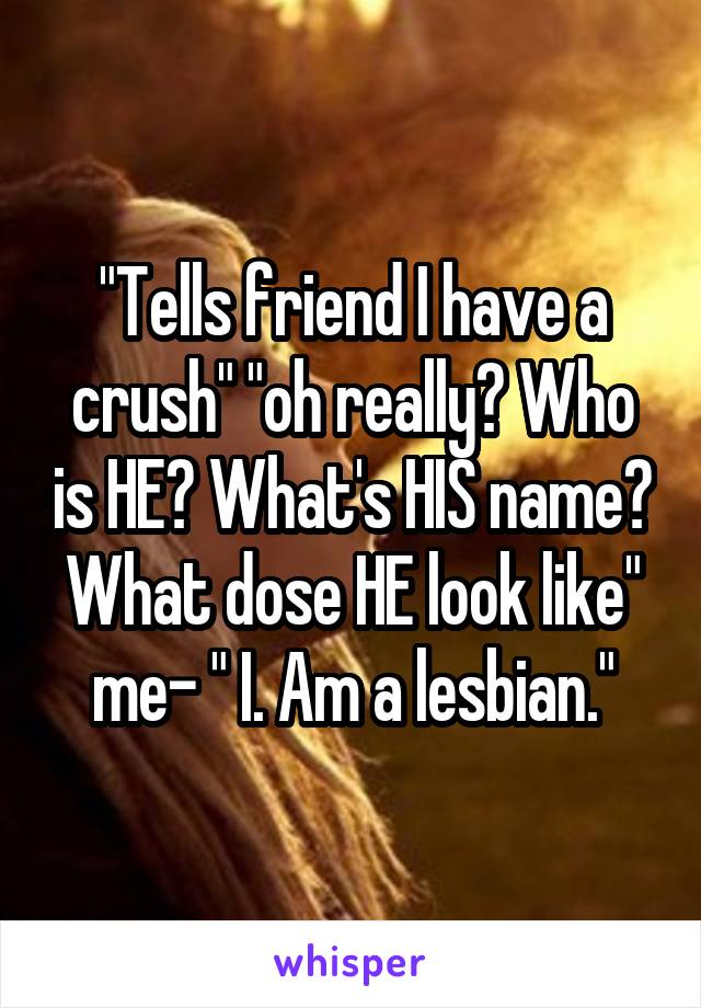 "Tells friend I have a crush" "oh really? Who is HE? What's HIS name? What dose HE look like" me- " I. Am a lesbian."