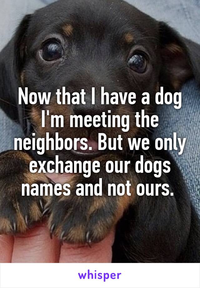 Now that I have a dog I'm meeting the neighbors. But we only exchange our dogs names and not ours. 