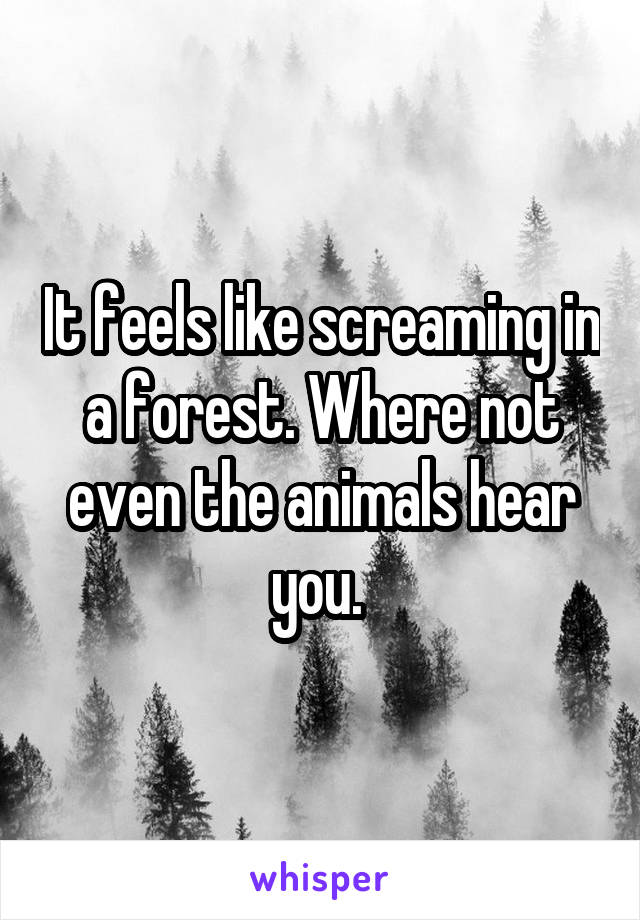 It feels like screaming in a forest. Where not even the animals hear you. 