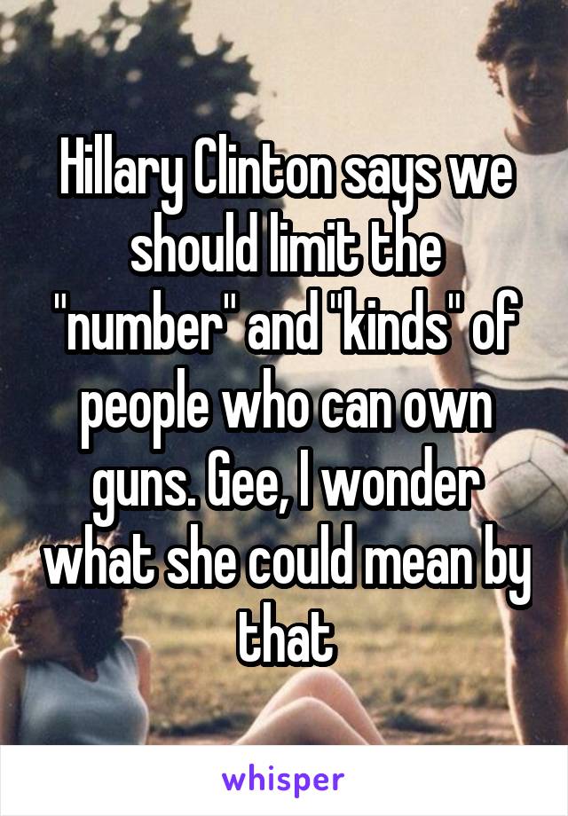 Hillary Clinton says we should limit the "number" and "kinds" of people who can own guns. Gee, I wonder what she could mean by that