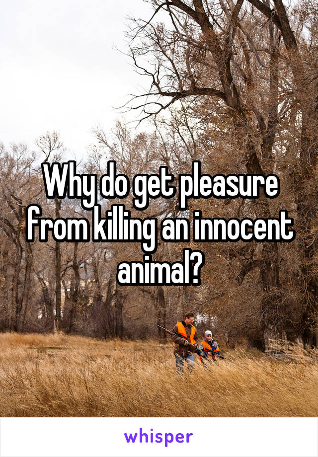 Why do get pleasure from killing an innocent animal?