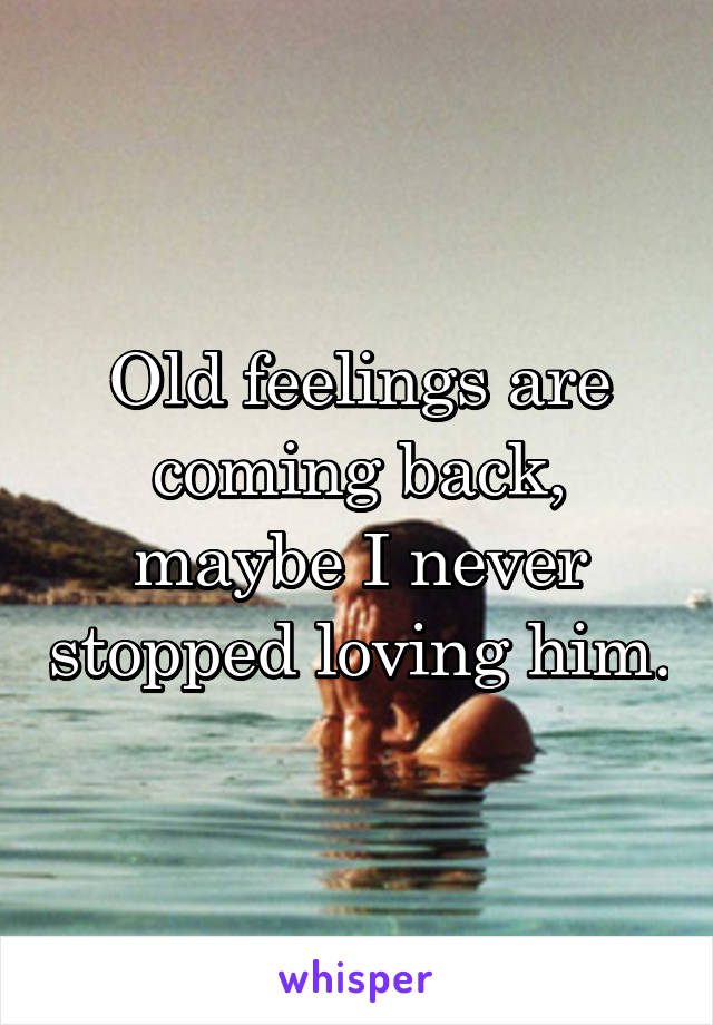 Old feelings are coming back, maybe I never stopped loving him.