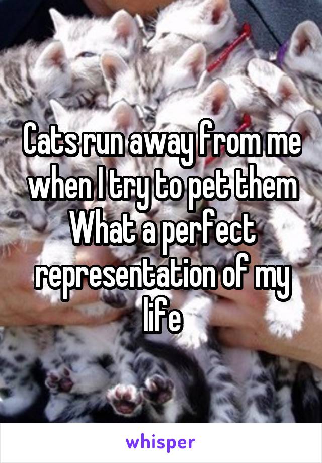 Cats run away from me when I try to pet them
What a perfect representation of my life