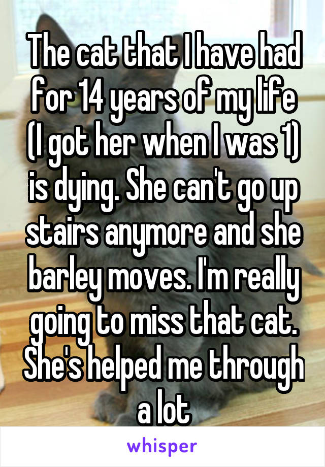 The cat that I have had for 14 years of my life (I got her when I was 1) is dying. She can't go up stairs anymore and she barley moves. I'm really going to miss that cat. She's helped me through a lot