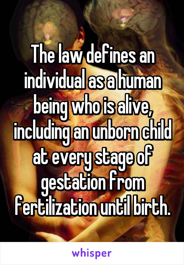 The law defines an individual as a human being who is alive, including an unborn child at every stage of gestation from fertilization until birth.