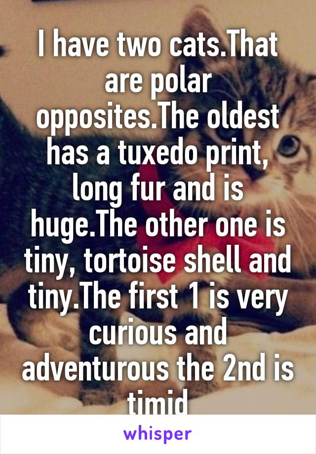 I have two cats.That are polar opposites.The oldest has a tuxedo print, long fur and is huge.The other one is tiny, tortoise shell and tiny.The first 1 is very curious and adventurous the 2nd is timid