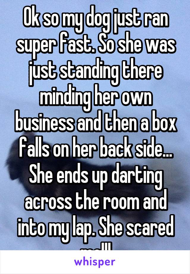 Ok so my dog just ran super fast. So she was just standing there minding her own business and then a box falls on her back side... She ends up darting across the room and into my lap. She scared me!!!