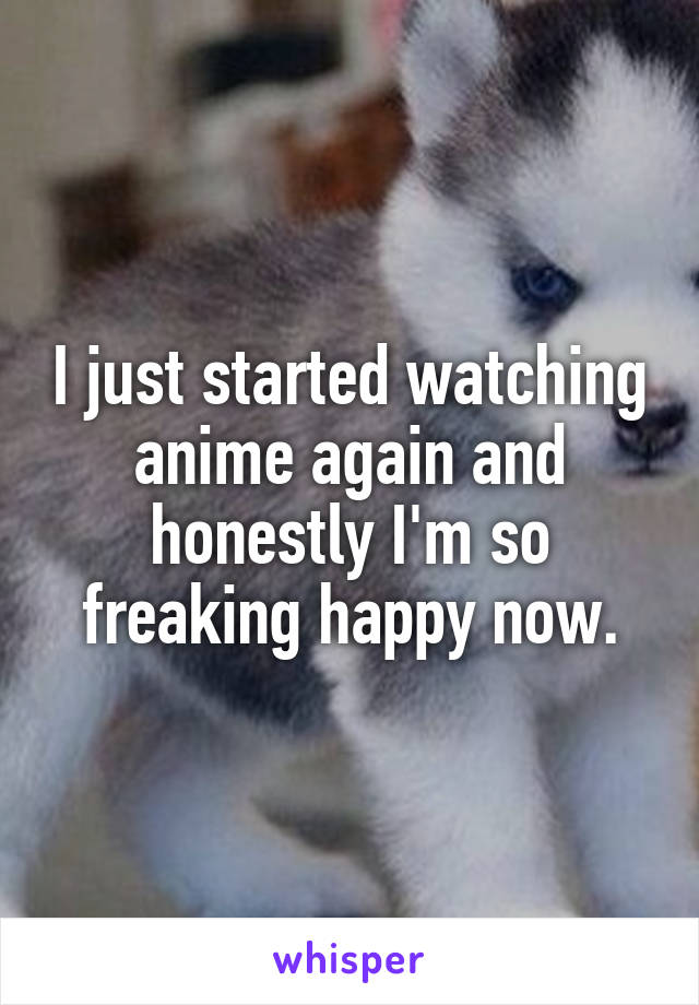 I just started watching anime again and honestly I'm so freaking happy now.