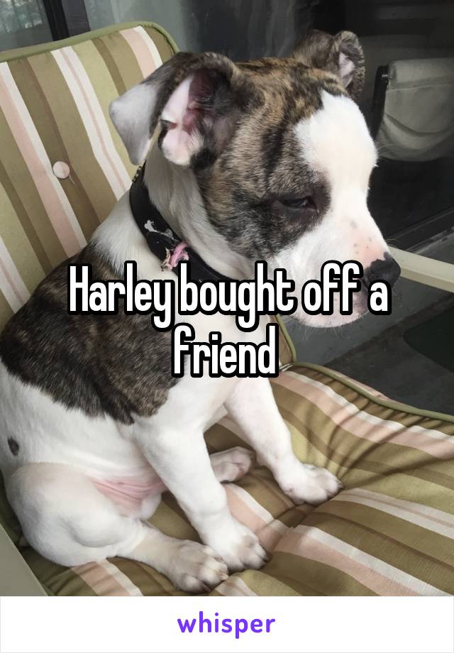 Harley bought off a friend 