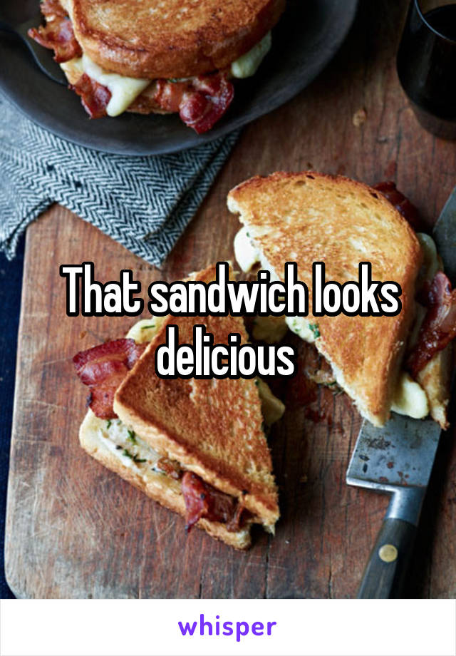 That sandwich looks delicious 