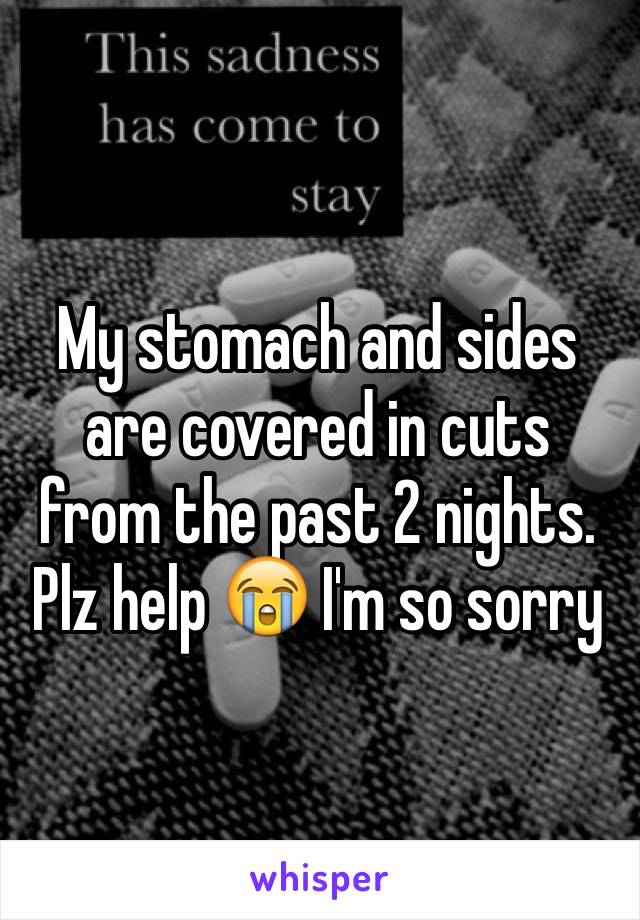 My stomach and sides are covered in cuts from the past 2 nights. Plz help 😭 I'm so sorry