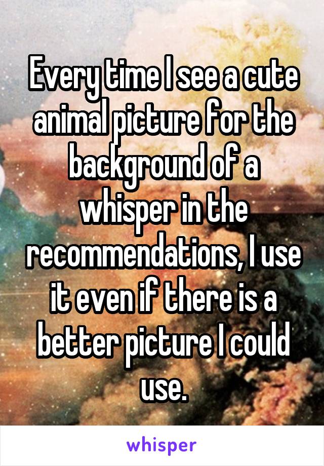 Every time I see a cute animal picture for the background of a whisper in the recommendations, I use it even if there is a better picture I could use.