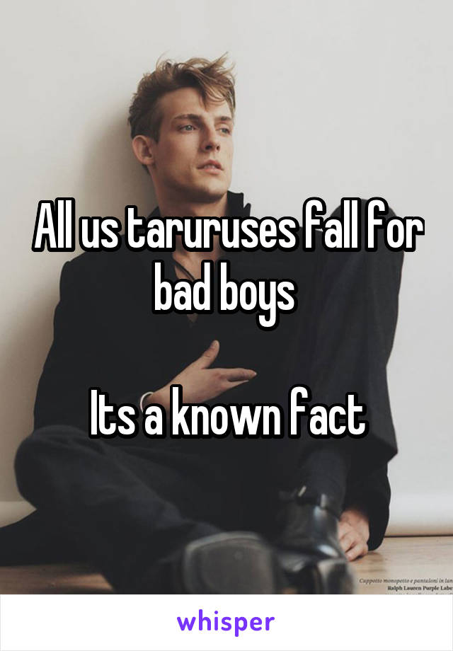 All us taruruses fall for bad boys 

Its a known fact