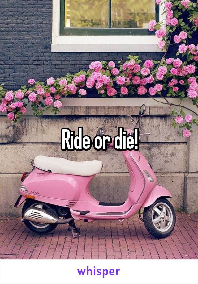 Ride or die!