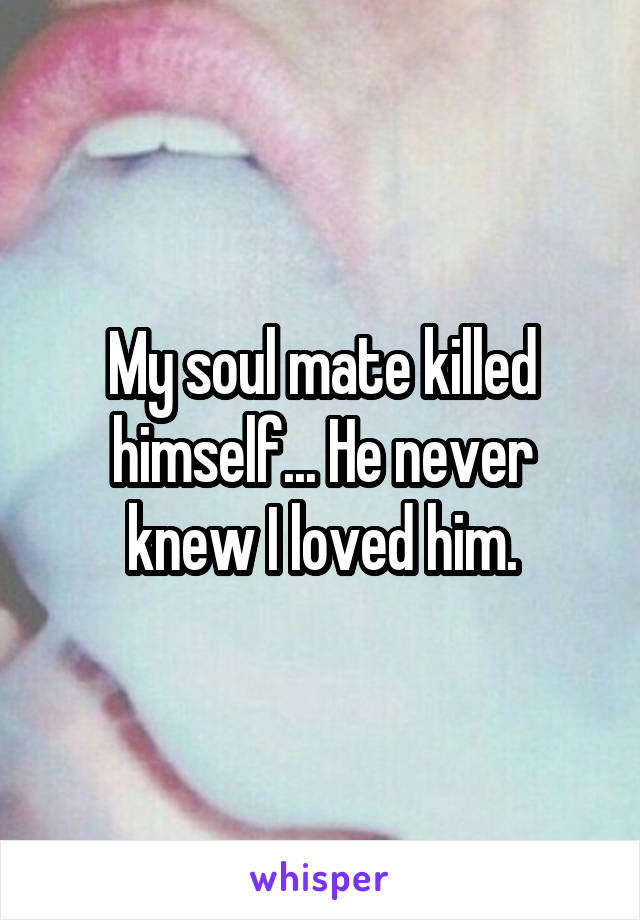 My soul mate killed himself... He never knew I loved him.