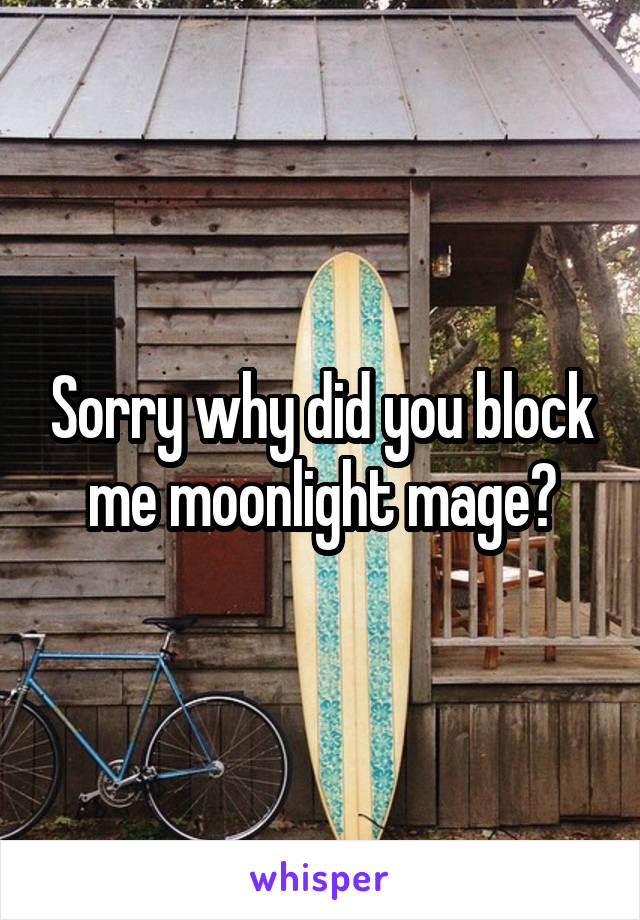 Sorry why did you block me moonlight mage?