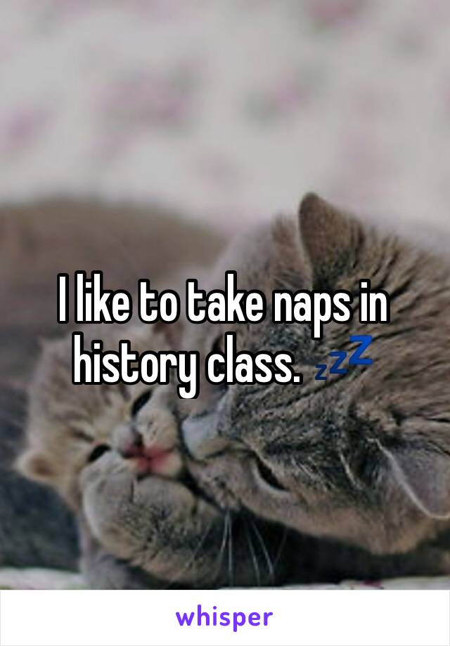 I like to take naps in history class. 💤