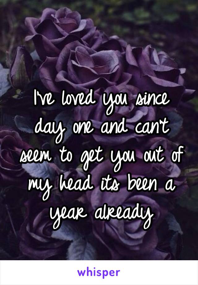 
I've loved you since day one and can't seem to get you out of my head its been a year already